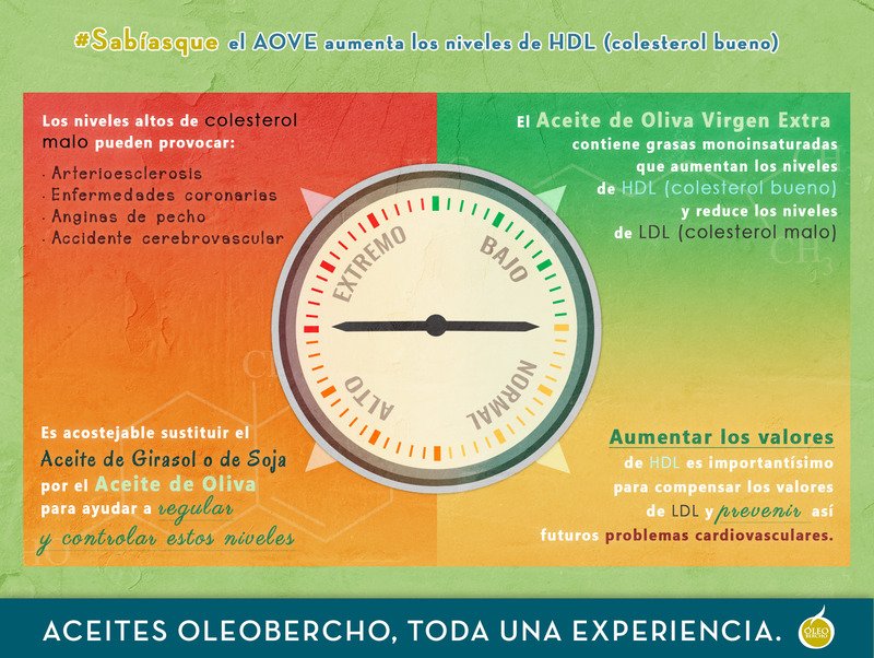 El Aceite de Oliva Virgen Extra aumenta los niveles de colesterol bueno