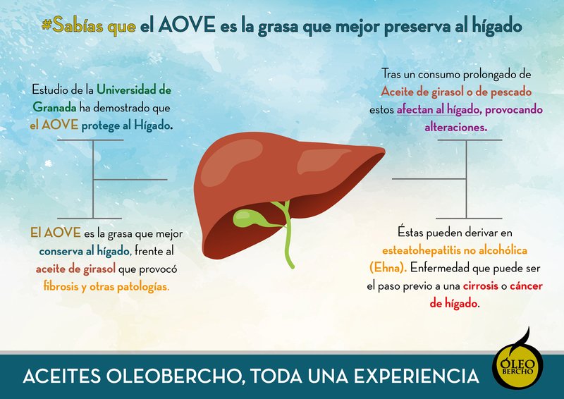 El aove es la grasa que mejor preserva el hígado
