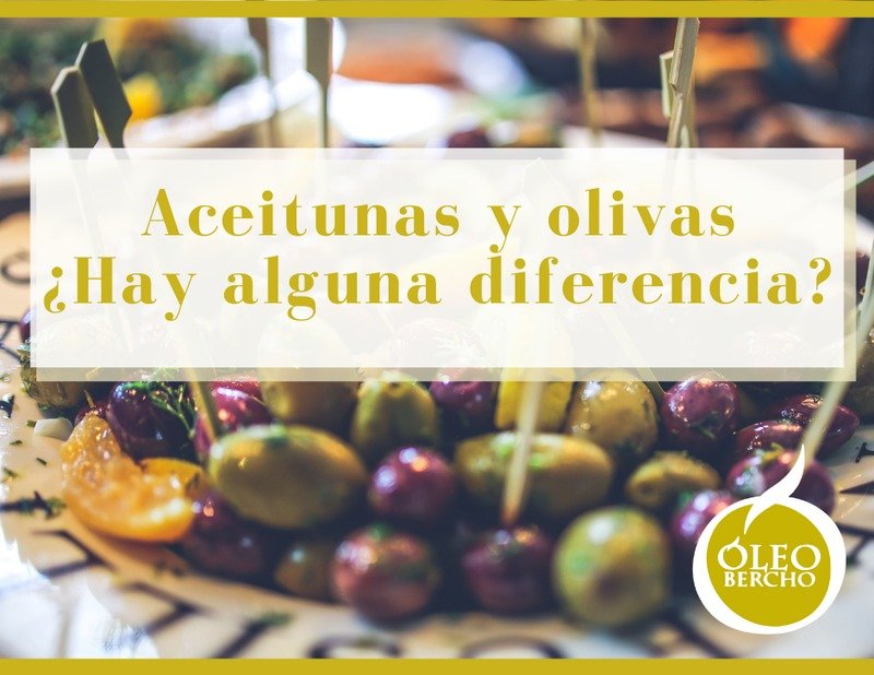 Aceitunas y olivas. ¿Hay alguna diferencia?
