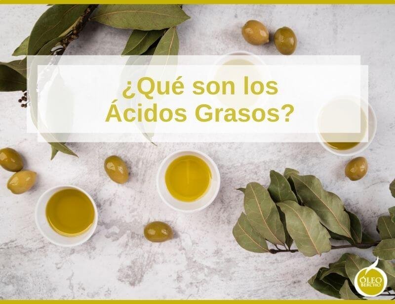 ¿Qué son los ácidos grasos?
