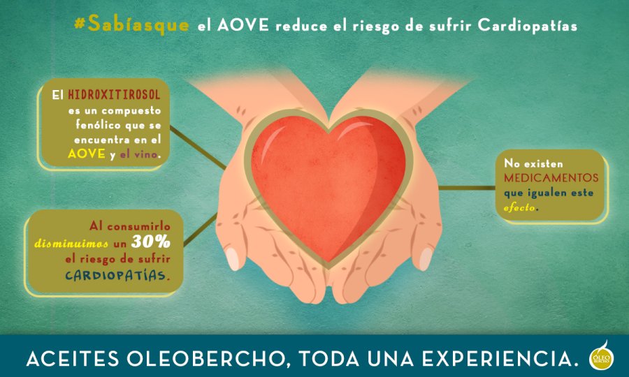 Aceite de oliva reduce el riesgo de cardiopatías