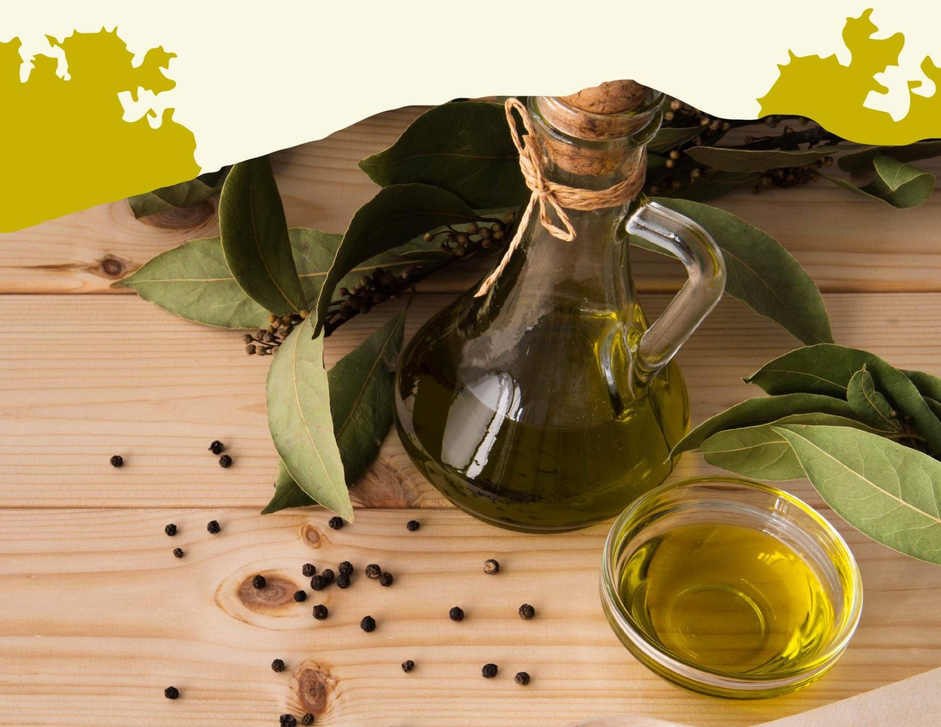 Propiedades del Ácido Oleico que seguro ¡no conocías!