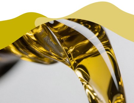 El ácido oleico, propiedades y beneficios que debes conocer