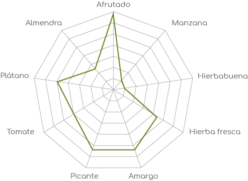 Nota de Cata Aceites Oleobercho