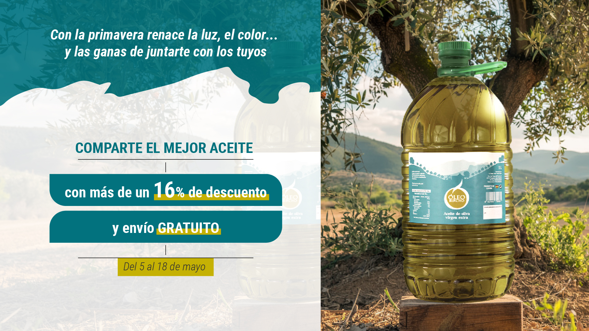 Aceite de Oliva Virgen Extra